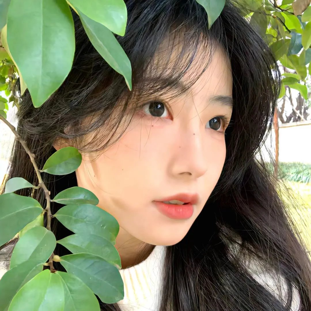 竖笛与双肩背包第一季