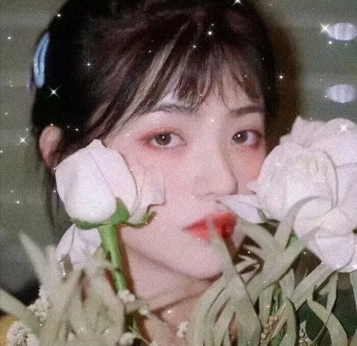 情诫